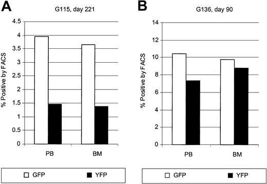 Figure 7. Comparison of gene transfer in peripheral blood and bone marrow leukocytes after transplantation. Displayed are representative examples of the percentages of gene-expressing cells detected in the peripheral blood and bone marrow at 221 days after transplantation in dog G115 (A) and at 90 days after transplantation in dog G136 (B).