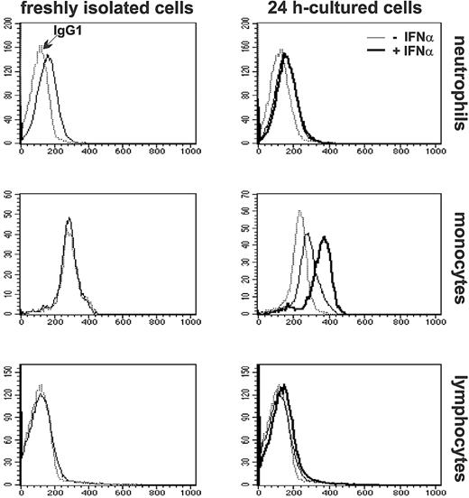 Figure 2. Expression of membrane-bound TRAIL in freshly isolated and IFNα-stimulated leukocytes. Neutrophils and PBMCs, purified from the same donor, were analyzed by flow cytometry immediately after isolation or after incubation for 24 hours in the absence or in the presence of 100 U/mL IFNα. Monocytes and lymphocytes were identified in the total PBMC population according to forward light scatter and side scatter parameters. Staining with anti-TRAIL mAb are indicated with normal and bold histograms for cells cultured in the absence or in the presence of IFNα, respectively. Dotted histograms represent staining with isotype control IgG1 mAbs. These profiles are representative of analyses performed in 5 healthy donors.