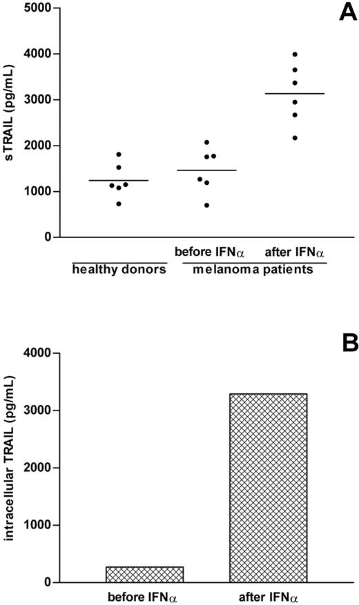 Figure 7. Detection of increased sTRAIL levels in sera of IFNα-treated patients. (A) Serum samples obtained from 6 healthy donors and 6 stage IV metastatic melanoma patients were collected either prior to or 24 hours after IFNα administration and then analyzed for sTRAIL content by ELISA. The figure shows the mean values of averaged duplicate determinations. (B) PBMCs obtained from 2 different patients (collected either prior to or 24 hours after IFNα infusion) were lysed as described in “Patients, materials, and methods” and the levels of intracellular TRAIL determined by ELISA. The mean values of TRAIL levels associated to PBMC pellets are shown.