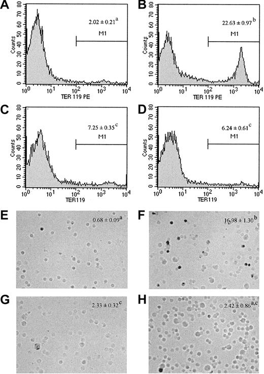 Figure 2. FACS analyses and hemoglobin (Hb) staining of splenocytes from naive or P chabaudi AS–infected mice, either untreated or treated with 10 units of rmEPO per day for 3 days. The erythroblast population was identified with PE-conjugated anti-TER119 antibody (A-D). Region M1 represents gating for TER119+ cells. Terminally differentiated mature erythroblasts were identified with benzidine staining for the presence of Hb as described in “Materials and methods” (E-H). Data presented are naive mice (A,E), naive mice treated with EPO (B,F), infected mice (C,G), and infected mice treated with EPO (D,H). Values represent percentages of TER119+ (A-D) or Hb-positive cells (E-H). Data are expressed as means ± SEM for 3 to 5 mice per group. When 2 sets of data are labeled with superscripts of different lowercase letters, it indicates that these 2 sets of data are statisitcally different (P < .05). Similar results were obtained in 3 independent experiments. Photos were taken at × 200 magnification.