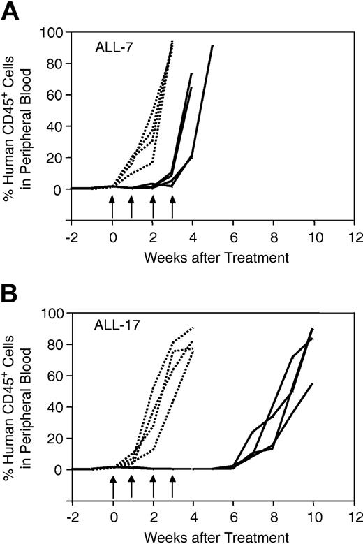 Figure 1. In vivo responses of xenografts ALL-7 and ALL-17 to vincristine. Mice were inoculated with ALL-7 (A) or ALL-17 (B), monitored for engraftment, and treated with vincristine (solid lines) or saline control (dotted lines) as described in “Materials and methods.” During and following treatment, the leukemic burden was monitored by estimating the proportion of human CD45+ cells in murine peripheral blood. Each line is representative of a single mouse. Whereas saline-treated control xenografts grew at equivalent rates (A-B), ALL-7 reappeared in the peripheral blood before the final vincristine treatment (A), and ALL-17 took approximately 7 weeks from the initiation of treatment to progress (B). Data presented are from a representative experiment. Arrows indicate vincristine or saline treatment times.