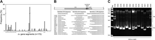 Figure 2. Spectrum of Vδ2-Jα rearrangements in childhood precursor-B–ALL. (A) Bar diagram summarizing the usage of Jα segments in Vδ2-Jα rearrangements in precursor-B–ALL. (B) Schematic diagram of the Vδ2 gene segment joined to the Jα29 gene segment via a junctional region. The presented Vδ2-Jα29 junctional region sequences are derived from precursor-B–ALL and illustrate the deletion of nucleotides from the germline sequences as well as the size and composition of the junctional regions. Dδ gene segments and inserted nucleotides are indicated by uppercase and small uppercase letters, respectively. (C) Multiplex heteroduplex PCR analysis with the Vδ2 primer in combination with 8 Jα primers (mix 3) showed clonal Vδ2-Jα homoduplexes (ho) in all samples tested. Sequence analysis (B) showed that all these rearrangements involved the Jα29 gene segment. The presence of heteroduplexes (he) in cases 5199, 5504, and 5609 indicated the presence of double Vδ2-Jα29 rearrangements.