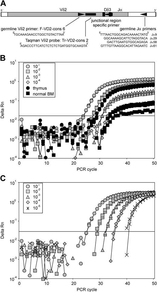 Figure 3. RQ-PCR analysis of Vδ2-Jα rearrangements. (A) Schematic representation of RQ-PCR analysis of Vδ2-(Dδ3)-Jα rearrangements. The positions and sequences of the germline Vδ2 TaqMan probe, germline Vδ2 forward primer, and 4 germline Jα primers are indicated. (B) Real-time amplification plots of the serial dilutions of a precursor-B–ALL DNA containing clonal Vδ2-Jα61 gene rearrangement into DNA of the cell line CEM, known to have 2 deleted TCRD alleles. RQ-PCR analysis was performed using the germline Vδ2 TaqMan probe, the Vδ2 forward primer, and the Jα61 primer. Relatively high levels of Vδ2-Jα61 rearrangements were found in thymus (6 × 10–3). Such rearrangements were also detectable in normal BM, albeit at low levels (less than 10–4). (C) Real-time amplification plots of the serial diagnosis DNA dilutions into MNC DNA in precursor-B–ALL. RQ-PCR analysis by use of the TaqMan technique was performed using a Vδ2-Jα56 rearrangement with the junctional region-specific primer approach. The reproducible sensitivity in this case reached 10–5.