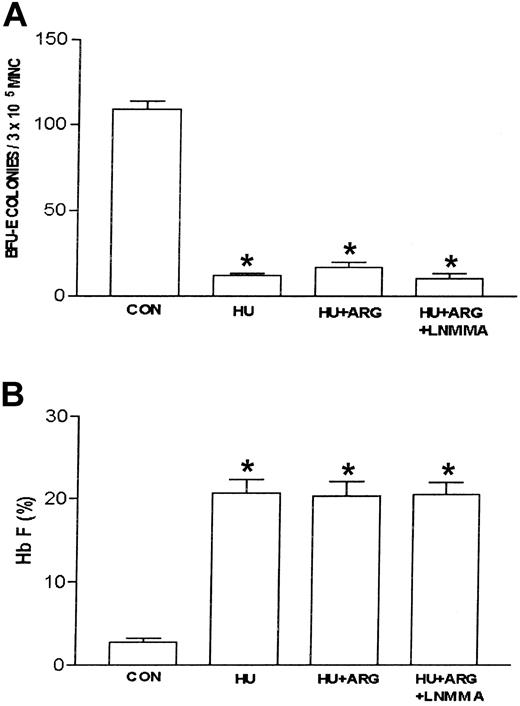 Figure 4. Effects of L-arginine and L-NMMA on HU-treated erythroid progenitors isolated from patients with homozygous sickle cell anemia. The experimental conditions were the same as in Figure 3. L-arginine (ARG; 100 μM) effects on hydroxyurea (HU)–treated (100 μM) erythroid progenitors in the absence and presence of the nitric oxide synthase inhibitor, NG-monomethyl–L-arginine (L-NMMA; 100 μM) were assessed. The number of BFU-E colonies (A) and percent Hb F (B) were measured as described in “Patients, materials, and methods.” Data are expressed as mean ± SEM. n = 4 in each group. Each experiment was done in triplicate. *P is less than .001 compared with control (CON).