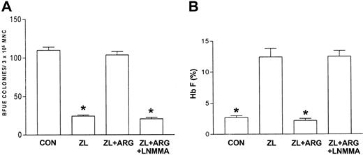 Figure 6. Effects of L-arginine and L-NMMA on zileuton-treated erythroid progenitors isolated from patients with homozygous sickle cell anemia. The experimental conditions were the same as in Figure 3. l-arginine (ARG; 100 μM) effects on zileuton-treated erythroid progenitors in the absence and presence of the nitric oxide synthase inhibitor LNMMA (100 μM) were assessed. The number of BFU-E colonies (A) and percent Hb F (B) were measured as described in “Patients, materials, and methods.” Data are expressed as mean ± SEM. n = 7, control (CON); n = 7, zileuton (ZL)–treated; n = 5, ZL + L-arginine (ARG); and n = 4, ZL + ARG + LNMMA–treated erythroid progenitors. Each experiment was done in triplicate. *P is less than .001 compared with CON and ZL + ARG.