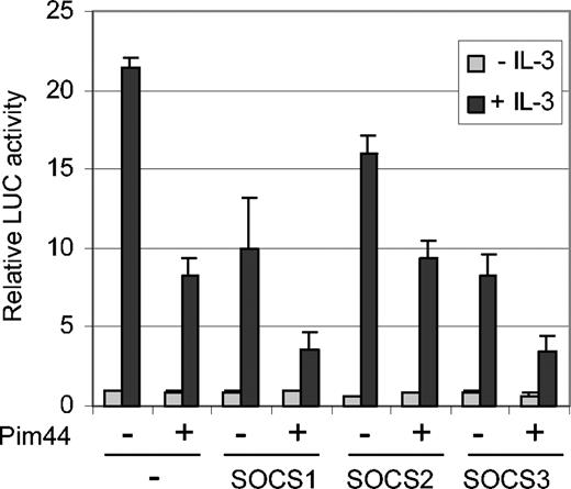 Figure 5. Pim-1 cooperates with SOCS1 and SOCS3 to inhibit STAT5-dependent transcription in IL-3–stimulated FDCP1 cells. FD/Neo and FD/Pim44 cells were transfected with the Spi-LUC2 reporter with or without expression vectors for SOCS1, SOCS2, or SOCS3. Cells were left unstimulated or stimulated with IL-3 as indicated.