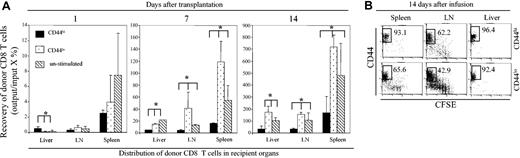 Figure 6. The expansion of DC-induced CD44hiCD8+ T cells is impaired in vivo. CD44hiCD8+ and CD44loCD8+ T cells were sorted from the B6 DC-stimulated T-cell cultures at day 5 and labeled with CFSE. Then, 1 × 106 of these B6 DC-stimulated CD44hiCD8+, CD44loCD8+, or unstimulated CCD8+ T cells (CD45.2) were mixed with 5 × 106 B6 T–BM (CD45.1) and transplanted into lethally irradiated B6 mice (3 for each group). Donor CD8+ T cells recovered from the spleens, LNs, and livers of these B6 recipients were analyzed by flow cytometry. (A) The number of donor CD8+ T cells from the spleens, LNs, and livers of B6 mice receiving CD44hiCD8+, CD44loCD8+, or unstimulated CD8+ T cells at days 1, 7, and 14 following transplantation were calculated. *P < .01 (mice receiving CD44hiCD8+ T cells versus mice receiving CD44loCD8+ or unstimulated CD8+ T cells). All values represent means ± SD. (B) The dilution of CFSE fluorescence of donor CD8+ T cells recovered from the spleens, LNs, and livers of these B6 recipients at day 14 following their infusion were analyzed by flow cytometry. Data shown here are gated donor CD8+ T cells, which derive from 3 independent experiments. Numbers in quadrants represent percentages of each cell fraction.