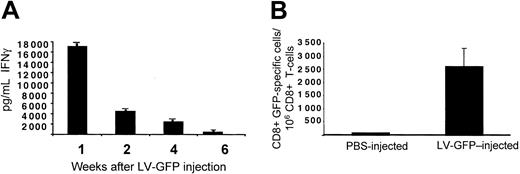 Figure 3. Induction of GFP-specific immune response in GFP LV-injected mice. (A) T-cell lines derived from splenocytes of C57BL/6 mice killed at different times after injection of CMV-GFP LV were tested for GFP-specific IFN-γ production by ELISA. IFN-γ produced in control experiment performed in the absence of GFP was subtracted from that produced in the presence of GFP. (B) Freshly isolated T cells 1 week after injection from PBS- (white bar, n = 3) and LV-GFP–injected mice (black bar, n = 3) were directly tested in ELISPOT assay for IFN-γ production in response to GFP. The percentage of CD8+ T cells present during the ELISPOT assay was determined by FACS analysis. One representative experiment of 3 performed is shown. Means ± SD are shown.
