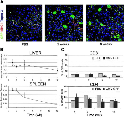 Figure 4. LV-mediated GFP expression in GFP transgenic mice. (A) Confocal immunofluorescence analyses of liver sections immunostained for GFP and MHC II from CMV-GFP LV-injected FVB/N TgN (Tie2GFP) transgenic mice that express GFP in endothelial cells. Representative sections from 3 mice were analyzed per time point. Original magnification, × 400. (B) Quantitative real-time PCR of vector DNA from the liver and spleen DNA of LV-injected transgenic mice at different times after injection. Means ± SD, n = 3, are shown. (C) FACS analysis of liver cell suspensions from PBS- and LV-injected transgenic mice labeled with CD4 and CD8 antibodies. The percentage of positive cells in the mononuclear cell gate (mean ± SD, n = 3) is shown.