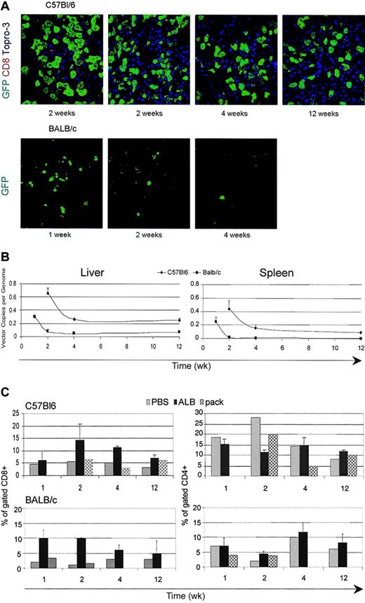 Figure 5. Expression of LV carrying a hepatocyte-specific promoter. (A) Confocal immunofluorescence analyses of liver sections immunostained for GFP, CD8, and TOPRO3 from C57BL/6 and BALB/c mice injected into the tail vein with LVs expressing the GFP marker from the ALB promoter; representative sections from 2 mice analyzed per time point per strain. Original magnification, × 400. (B) Quantitative real-time PCR of vector DNA from the liver and spleen DNA of injected mice at different times after injection. Means ± SD, n = 3, are shown. (C) FACS analysis of liver cell suspensions labeled with CD4 and CD8 antibodies from vector-injected mice and mice injected with vector particles without genome (pack) at different times after injection. The percentage of positive cells in the mononuclear cell gate (mean ± SD, n = 3) is shown.