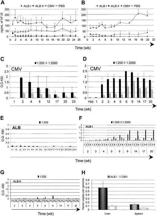 Figure 6. Time course of expression and immune response against hF.IX after systemic administration of hF.IX LVs. The plasma levels of human clotting factor IX were monitored after tail-vein injection of LVs expressing hF.IX from the CMV and ALB promoters and vehicle (PBS) into adult C57BL/6 (A) and BALB/c (B) mice. For the ALB LVs, 2 different amounts of vector were injected: 20 μg (ALB I) and 40 μg (ALB II) p24 vector equivalents. Means + SD, n = 4, are shown. (C-G) ELISA immunoassay was performed on the plasma to detect anti-hF.IX antibodies. Absorbance of the indicated dilutions are shown as mean ± SD, n = 4, for panels C-E, and for individual mice for panels F-G. (H) The vector DNA content was measured in the liver and spleen of C57BL/6 LV-injected mice 25 weeks after injection. Means + SD, n = 3, are shown.