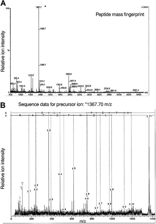 Figure 6. Mass spectrometric analysis of adseverin. (A) Peptide mass fingerprint data for adseverin. The observed peptide MH+ ions characteristic of adseverin are labeled on the spectrum based on a theoretical digest of adseverin allowing for one missed trypsin cleavage and no fixed or variable modifications. (B) Spectrum of product ions derived from a precursor of mass/charge (m/z) 1367.7 Da during tandem mass spectrometric analysis. The b and y ion series were assigned using BioTools software (Bruker, Bremen, Germany).