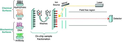 Figure 4. Principle of surface-enhanced laser desorption ionization (SELDI)–ToF MS. This is a technique for the enrichment of proteins with specific chemical characteristics and combines chromatography with MS. ProteinChip arrays have been designed that contain chemically or biochemically treated surfaces. The sample, consisting of crude extracts or mixtures of whole proteins, is applied to the surface. After a series of washes, the targeted proteins are selectively retained. An energy-absorbing solution is added to the surface and the sample is subjected to laser desorption ionization. The formed ions are measured using a ToF mass analyzer as previously described. Characteristic features of spectra can be used for prognostic purposes (“SELDI-ToF MS and the search for disease markers”).