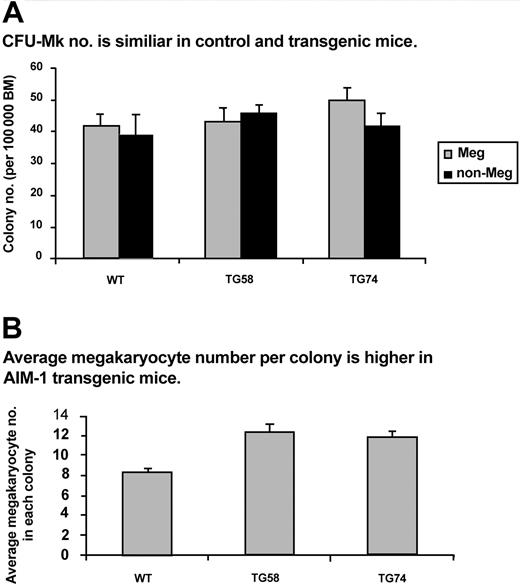 Figure 9. CFU-Mk assay. Bone marrow cells (105) extracted from each mouse femur were cultured in collagen-based, serum-free medium for 7 days. Cultures were dried, fixed, and assayed for acetylcholinesterase activity. Colonies with 3 or more megakaryocytes were scored as CFU-Mk (Meg), and the rest were scored as nonmegakaryocyte colonies (non-Meg). (A) Average numbers of CFU-Mk from TG58 and TG74 compared with wild-type (WT) mice. (B) Average numbers of megakaryocytes in CFU-Mk colonies from Aurora-B/AIM-1 transgenic lines TG58 and TG74 compared with wild-type mice. Numbers in transgenic mice were approximately 40% greater than in wild-type mice (P < .01; Student t test). As shown, the average megakaryocyte number in a wild-type colony was 8.4. (C) Percentage of megakaryocyte colonies that had higher-than-average megakaryocyte number (8.4). Megakaryocyte colonies TG58 and TG74 had more cells than wild-type (P < .01; Student t test). Data presented are mean ± SD of 6 mice per experimental group, each assayed in duplicate.