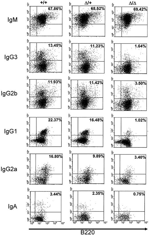 Figure 3. Cell surface immunoglobulin expression on stimulated splenocytes. Splenocytes from wt (+/+), heterozygous (Δ/+), or homozygous (Δ/Δ) mice were cultured for 5 days with LPS+IL4 (to induce IgG1), LPS (to induce IgG3 and IgG2b), LPS+IFNγ (to induce IgG2a), or LPS+TGFβ (to induce IgA) and stained with anti-B220 and anti-isotype antibodies. The data shown are representative of 4 independent experiments for IgM, IgG1, IgG3, and IgG2b and of 2 independent experiments for IgG2a and IgA. Controls included staining with anti-B220 and anti-IgG1 for LPS stimulation and with anti-B220 and anti-IgG3 or anti-IgG2b for LPS+IL4 (not shown). Percentages of surface Ig–expressing cells among total B220-positive cells are shown in subpanels.
