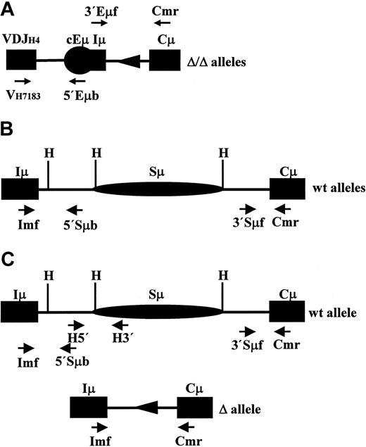 Figure 5. Analysis of AID-induced mutations in Iμ-Cμ intron. The number of mutations per total number of bases sequenced is indicated for each category of splenocytes under the corresponding stimulation conditions. The total number of independent clones sequenced is indicated in Table 1. The maps (not to scale) indicate the relative position of the primers used and the sequences examined on the alleles of the homozygous mutant (Δ/Δ) (A), the wt (+/+) (B), and the heterozygous (Δ/+) (C) splenocytes.