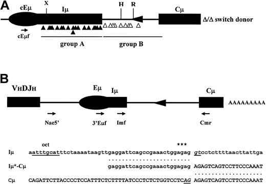 Figure 6. CSR junctions in Iμ-Cμ intron–deleted mice and potential cryptic splice site in Iμ exon. (A) Localization of switch donor sites. The donor sites fall into 2 groups, group A (▴) comprises the switch donor sites within Iμ and group B (▵) those within the mutated Iμ-Cμ intron. The relative position of cEμf primer is indicated. cEμ indicates the core Eμ enhancer; H, HindIII; R, EcoRI; and X, XbaI. (B) Putative cryptic splice site in Iμ exon. (Top) Relative position of the primers used in RT-PCR. (Bottom) The first line shows the localization of the putative cryptic donor splice site (underlined) downstream of the octamer motif of the core Eμ enhancer. Three transcription initiation sites52 are indicated by asterisks. The second line shows the correctly spliced shortened Iμ (Iμ*) exon to Cμ exon. The third line shows the nucleotide sequence in the vicinity of Cμ acceptor splice site (underlined).