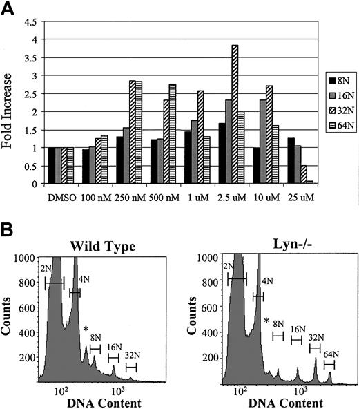 Figure 7. Effect of Src kinase inhibitor PP1 on primary murine MKs. Fresh bone marrow from C57BL/J mice was washed and resuspended in RPMI and 1% Nutridoma plus recombinant mTPO. DMSO alone (final concentration, 0.1%) or the Src inhibitor PP1, dissolved in DMSO, was added to the cells at the indicated final concentrations. After 72 hours of incubation, the entire cell culture was analyzed by flow cytometry for the presence of polyploid cells. The percentage of each ploidy class is expressed as a fold increase or decrease relative to no inhibitor (ie, no inhibitor = 1). Data are representative of 3 separate experiments. (B) Wild-type mice (C57BL/J) and lyn–/– mice were killed and femurs from 4 mice (of each type) were pooled, subjected to RBC lysis, and cultured under serum-free conditions with exogenous recombinant mTPO (37.5 ng/mL) for 72 hours. Nuclear ploidy was determined by flow cytometry and plotted on a semilog scale (500 000 events/sample). Bars mark the DNA contents of 2N, 4N, 8N, 16N, and 64N, respectively. *Anueploid cells.