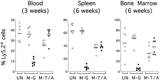 Figure 5. TEL-AML1 confers an advantage on reconstitution by HPCs in vivo. Sublethally irradiated mice were reconstituted with uninfected HPCs (UN; triangles) or HPCs transduced with MSCV-EGFP (M-G; squares) or MSCV-T/A (M-T/A; circles) (n = 6 for each group). Flow cytometry was performed on peripheral blood 3 weeks after transplantation (left panel) and on splenocytes (middle panel) and bone marrow cells (right panel) from the same mice 6 weeks after transplantation. Ly5.2+Ly5.1– cells were gated and EGFP expression was analyzed. Plots show the percentage of EGFP–Ly5.2+ (open symbols) and EGFP+Ly5.2+ (filled symbols) donor-derived cells in the mice that received transplantations. Each symbol represents data from an individual mouse, and bars represent the means within each group.