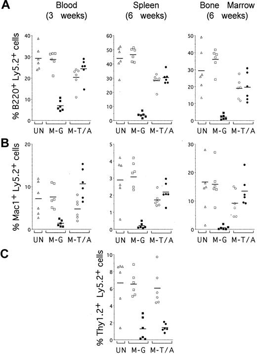 Figure 6. TEL-AML1 promotes development of B and myeloid cells but not T cells in vivo. Sublethally irradiated mice were reconstituted with uninfected HPCs (UN; triangles) or HPCs transduced with MSCV-EGFP (M-G; squares) or MSCV-T/A (M-T/A; circles) (n = 6 for each group). Flow cytometry was performed on peripheral blood 3 weeks after transplantation (left panels) and on splenocytes (middle panels) and bone marrow cells (right panels) from the same mice 6 weeks after transplantation. Ly5.2+Ly5.1– cells were gated and analyzed for the expression of EGFP and lineage-specific cell surface markers. Plots show the percentage of EGFP–Ly5.2+ (open symbols) and EGFP+Ly5.2+ (filled symbols) donor-derived cells that also expressed (A) B220, (B) Mac1, and (C) Thy1.2. Each symbol represents data from an individual mouse, and bars represent the means within each group.