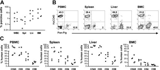 Figure 2. Persistence of porcine chimerism and enhanced human T-cell development in NOD/SCID-Tg mice grafted with human Thy/Liv tissues under the subcapsular space of both kidneys. Shown are porcine and human chimerisms in various tissues at 25 weeks after human Thy/Liv implantation. (A) Porcine hematopoietic chimerism in the WBCs, spleen (Spl), liver (Liv), and BM of NOD/SCID-Tg mice that received porcine BM transplants alone (○) or porcine BM transplants plus human Thy/Liv grafts (•). Each symbol represents an individual animal. (B) FCM profiles showing coengraftment of porcine and human cells in various tissues of a NOD/SCID-Tg mouse recipient of porcine BM transplants plus human Thy/Liv grafts. Numbers indicate the percentages of the corresponding cell populations. (C) Percentages of human CD45+, CD3+, CD4+, and CD8+ cells in various tissues of NOD/SCID-Tg mice that received porcine BM transplants plus human Thy/Liv (▪) or human Thy/Liv alone (□). Each symbol represents an individual animal.