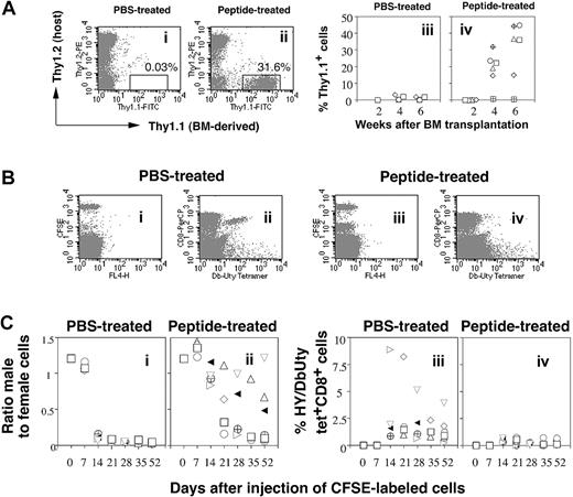 Figure 2. Induction of tolerance to male bone marrow and spleen cell engraftment by HY peptide. (A) Intranasal administration of HYAbDby peptide facilitates engraftment of syngeneic male bone marrow grafts. Appearance of B6.Thy1.1 male T cells in PBL of female B6 (Thy1.2) recipients pretreated intranasally with 3 × 100 μg HYAbDby peptide 10 days before irradiation (200 R) and with intravenous injection of 5 × 106 B6 Thy1.1 male bone marrow cells. FACS profiles of PBLs stained for each Thy1 allele, 2 weeks after bone marrow transplantation, of single representative PBS-treated mice (i), peptide-treated mice (ii), and percentage of donor-derived Thy1.1+ T cells in PBLs from recipient mice, PBS-treated, n = 6 (iii), and peptide-treated, n = 6 (iv) at 2, 4, and 6 weeks after bone marrow injection. Each symbol represents data from an individual mouse. Significant differences of peptide-treated from PBS control: P = .0021 at 4 weeks, P = .0028 at 6 weeks. (B) The in vivo cytotoxicity assay: FACS analysis of CFSE-label and tetramer. A mixture of male and female spleen cells labeled with different concentrations of CFSE (male, low; female, high) were injected intravenously into recipient mice: a PBS-treated naive female (i-ii) and an HYAbDby peptide–pretreated female (iii-iv). PBLs taken 14 days later were stained with CD8 and tetramer and examined by FACS. Panels i and iii show the remaining CFSE-labeled donor cells; panels ii and iv show tetramer-positive cells of recipient origin. (C) Intranasal HYAbDby peptide prolongs survival of syngeneic male spleen cells. B6 females were given intranasal PBS (n = 8) or 3 × 100 μgHYAbDby peptide (n = 8). Ten days later they received intravenously a mixture of differentially CFSE-labeled male and female splenocytes, and sequential PBL samples were analyzed as described. Panels i and ii show ratio of male to female cells, panels iii and iv show frequency of HYDbUty tetramer-positive cells within CD8+ T-cell population. Each symbol represents an individual mouse.