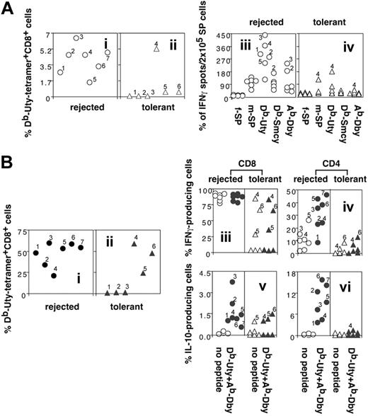 Figure 4. Clonal expansions and cytokine production following in vivo antigenic challenge of long-term tolerant B6 mice and their graft-rejecting controls. (A) Ex vivo data. Freshly isolated splenocytes from graft-rejected mice have a higher frequency of HYDbUty tetramer–positive CD8+ T cells and HY peptide–specific IFN-γ–producing cells than their tolerant counterparts. Seven PBS-treated graft-rejected mice (○), and 6 mice pretreated with 3 × 100 μg HYAbDby that retained syngeneic male skin grafts for more than 400 days (▵), were boosted intraperitoneally with 5 × 106 male splenocytes. Seven days later spleen cell suspensions from individual animals were analyzed by FACS for percentage of HYDbUty tetramer–positive CD8+ T cells (i-ii) and by ELISPOT for IFN-γ production in response to irradiated female or male B6 splenocytes alone, or irradiated female splenocytes pulsed with HYDbUty, HYDbSmcy, or HYAbDby peptide. The results are expressed as spots/2 × 105 cells (iii-iv). (B) After in vitro restimulation. Splenic cultures from graft-rejected, in vivo–boosted mice show large clonal expansions of HYDbUty tetramer–positive CD8+ T cells following in vitro restimulation, whereas responses of tolerant mice are lower; intracellular IFN-γ and IL-10 cytokine responses of T cells from the in vitro cultures from tolerant mice are also diminished. Splenocytes from the rejected (•) or tolerant (▴) mice, shown in panels Ai-ii, were incubated with irradiated B6 male spleen cells and IL-2 for 7 days. The cultured cells were analyzed by FACS and the results shown as a percentage of HYDbUty tetramer–positive CD8+ T cells (i-ii). The cultured cells were also analyzed for intracellular cytokine production after restimulation with unpulsed (○, ▵), or HYDbUty and HYAbDby peptide–pulsed APCs (•, ▴) for 6 hours in the presence of monensin. The cells were stained with anti-CD8 or anti-CD4, fixed, permeabilized, and then stained with anti–IFN-γ or anti–IL-10. Results are shown as the percentage of IFN-γ (iii-iv) or IL-10–producing cells (v-vi) in the CD8+ (iii,v) or CD4+ T-cell population (iv,vi). Note: the y-axes of panels iii to vi differ to facilitate identification of individual mice.