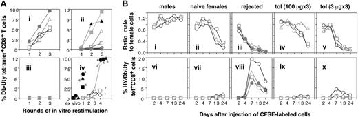 Figure 5. Expansions of HY-specific T cells from PBLs and spleen. (A) Tetramer-positive T cells clonally expand with repeated in vitro restimulation. Panels i to iii show clonal expansion in vitro of tetramer-positive T cells from tolerant, memory, and naive mice. PBLs from 3 groups of mice, rejected (i; n = 4), tolerant (ii; n = 11), and naive (iii; n = 6), were stimulated with irradiated syngeneic male spleen cells plus IL-2. Cultures were sampled on day 7 for tetramer analysis, and the remaining cells restimulated on day 14, with sampling and restimulation repeated for 2 further rounds. Each symbol represents an individual mouse. The y-axes of panels ii and iii differ to facilitate identification of individual mice. Panel iv shows clonal expansions in vitro from spleen cells of long-term tolerant mice. T-cell lines were generated by repeated restimulation every 4 weeks of spleen cells from 6 tolerant mice (shown in Figure 4Bii) with irradiated male B6 splenocytes plus IL-2. Seven days after each restimulation, T cells were analyzed for the frequency of HYDbUty tetramer–positive CD8+ T cells (each symbol representing an individual mouse). (B) In vivo cytotoxic capacity of tolerant, naive, and sensitized mice. Five groups of B6 recipient mice (n = 3 or 4), naive males (i,vi), naive females (ii,vii), graft-rejected (iii,viii), and long-term (> 100 days) tolerant females following high-dose (3 × 100 μg; iv,ix), or low-dose (3 × 3 μg; v,x) intranasal HYAbDby peptide, were given intravenous injections on day 0 with a mixture of 1 × 107 female B6 splenocytes (labeled with 5 μM CFSE) and 1 × 107 male B6 splenocytes (labeled with 0.5 μM CFSE). PBLs taken between days 2 and 24 were analyzed for CFSE-labeled cells and HYDbUty tetramer–positive CD8+ T cells. The ratio of male to female cells is shown in panels i to v, the frequency of HYDbUty tetramer–positive cells within CD8 T-cell population in panels vi to x. Each symbol represents an individual mouse.
