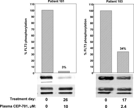 Figure 3. Correlative data on patients 101 and 103. Trough plasma samples from patients 101 and 103 were used for ex vivo bioassays of FLT3 phosphorylation (performed as described in Figure 2).