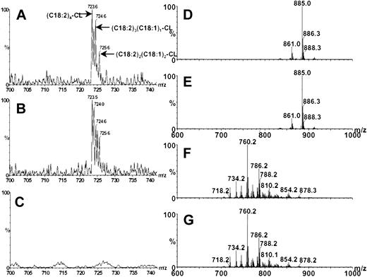 Figure 4. Cardiolipin composition and spectra of some other phospholipids determined by HPLC-MS in freshly isolated BTHS granulocytes. (A,D,F) Freshly purified control neutrophils; (B) neutrophils from the same donor after overnight culture with more than 80% annexin-V binding; (C,E,G) freshly purified neutrophils from a BTHS patient with more than 60% annexin-V binding. CL molecular species are shown in panels A-C. Arrows indicate the most abundant CL molecular species and their fatty acid composition. BTHS neutrophils did not contain CL species either in fresh cells (C) or in apoptotic cells (not shown). Phosphatidyl inositol molecular species are shown in panels D-E. Phosphatidyl choline and sphingomyelin molecular species are shown in panels F-G. Representative results from 3 BTHS patients and 3 control individuals.