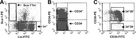 Figure 1. FACS profiles of primitive murine and human BM cells. (A) Representative dot plots showing the gates used to isolate Sca-1+lin– and lin+ populations of murine BM cells. (B) Representative dot plot showing the gates used to isolate CD34+ and CD34– populations from low-density normal human BM cells. (C) Representative dot plot showing the gates used to isolate the CD38– and CD38+ subsets of CD34+ cells from lin– normal human BM cells.