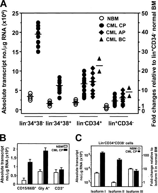 Figure 5. Enhanced expression of AHI-1 in primary CML cells. (A) Absolute AHI-1 transcript levels were calculated as described in “Patients, materials, and methods” from real-time RT-PCR analyses of RNA isolated from FACS-purified lin–CD34+CD38–, lin–CD34+CD38+, lin–CD34+, and lin+CD34– normal BM (n = 4) and CML cells in chronic phase (n = 18), accelerated phase (n = 8), and myeloid blast crisis (n = 2). The mean levels of AHI-1 expression in each population are indicated by the horizontal bars. (B) A similar analysis performed on RNA isolated from later subsets of lin+ normal human BM cells (n = 4) and chronic-phase CML cells (n = 6). (C) Real-time RT-PCR analyses of RNA isolated from FACS-purified lin–CD34+CD38– normal BM (n = 4) and chronic-phase CML cells (n = 8) using the same isoform-specific primers shown in Figure 4A and the corresponding standard curves. Values shown are the mean ± SEM.