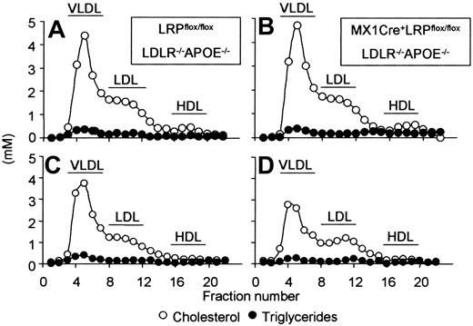 Figure 2. Lipoprotein distribution. Plasma was obtained from uninduced (A,B) and 4-week induced (C,D) LRPflox/floxLDLR–/–APOE–/– (A,C) and MX1Cre+LRPflox/floxLDLR–/–APOE–/– (B,D) mice. Lipoproteins were size-fractionated by FPLC; cholesterol (○) and triglyceride (•) content of the individual fractions was determined.