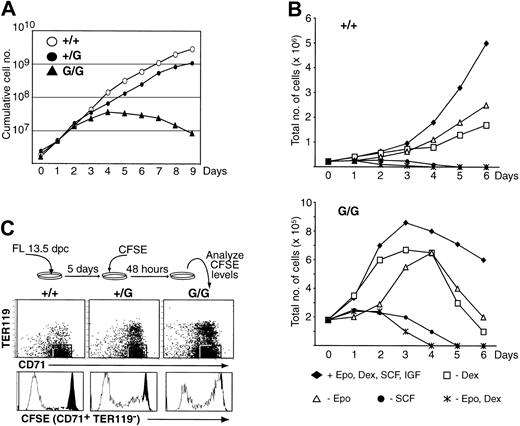 Figure 2. Impaired proliferation of PU.1G/G FL erythroid precursors. (A) Ex vivo expansion of erythroid progenitors. The 13.5-dpc FL cells (2 × 106) were plated in erythroid medium at day 0, and cell numbers were counted each following day. Graph represents 1 of more than 5 experiments with similar results. (B) Optimal proliferation of PU.1G/G FL erythroid precursors requires Epo, SCF, and Dex. The 13.5-dpc FL cells (2.2 × 105 WT, 1.8 × 105 PU.1G/G) were plated in erythroid medium at day 0 in the presence of Epo, SCF, Dex, and IGF or in the absence of the indicated factors. Cell numbers were counted each following day. Graphs represent 1 of 3 independent experiments. (C) Impaired proliferation of PU.1+/G and PU.1G/G erythroid progenitors. The experiment was performed as depicted. Forty-eight hours after CFSE loading, cells were harvested and analyzed for TER119, CD71, and CFSE expression. White histograms represent the CFSE intensities of the gated CD71+TER119– cells; black histograms represent the CFSE intensity of a control population that had not divided.