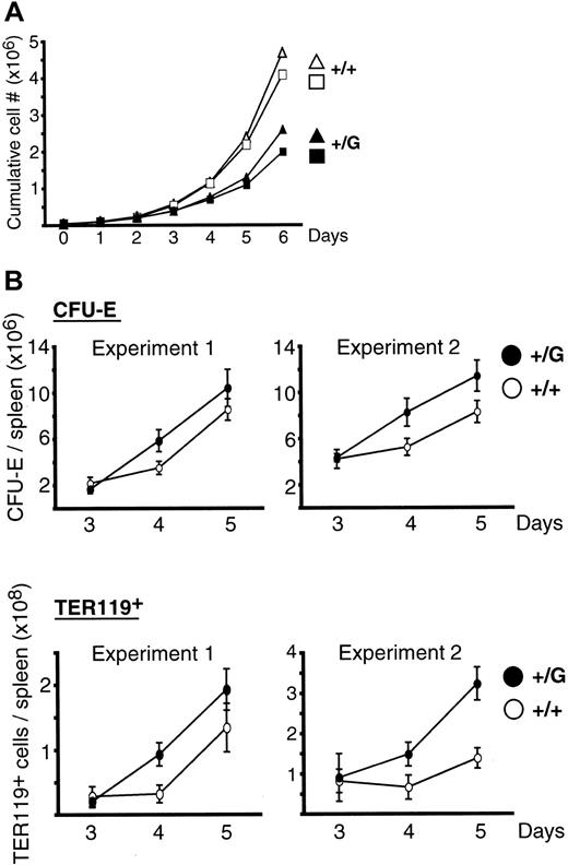 Figure 6. PU.1 regulates adult erythropoiesis. (A) Expansion of PU.1+/G and WT BM erythroid progenitors cells in erythroid medium. A total of 105 WT or PU.1+/G purified Lin– (B220–Gr1–TER119–CD3–F4/80–CD16/32–NK1.1–) BM cells were seeded in erythroid medium; cell numbers were counted daily. Graph is representative of 3 experiments, 5 mice of each genotype in all. (B) Erythrocyte regeneration following phenylhydrazine-induced stress. PU.1+/G and WT mice were injected with phenylhydrazine (2 injections 24 hours apart) to induce anemia. The number of splenic CFU-E (top) and TER119+ cells (bottom) were quantified between 3 to 5 days after the first injection. Two experiments are shown (means and SDs), 3 mice for each time point.