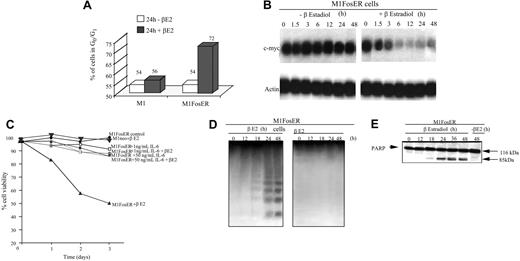 Figure 2. Activation of FosER in MlFosER cells results in growth retardation accompanied by suppression of c-Myc and apoptotic cell death that is abrogated by IL-6. (A) Untreated and estrogen-treated cells were collected 24 hours after initiation of treatment and subjected to FACS analysis as described in “Materials and methods.” Data presented are an average of at least 3 experiments, with each yielding similar results. (B). Cells were collected at the indicated time points after treatment with estrogen, and total RNA was extracted as described in “Materials and methods.” RNA (10 μg/lane) was resolved on a 1% agarose formaldehyde gel and transferred to a Duralon-UV membrane (Stratagene). RNA blots were hybridized to 32P-labeled c-Myc cDNA probe, washed, and subjected to autoradiography for 24 to 48 hours at -80°C as described in “Materials and methods.” (C) Cells were seeded at 0.1 × 106 cells/mL with estrogen, IL-6, or with both estrogen and IL-6, and viability was assessed by trypan blue dye exclusion as described in “Materials and methods.” Each time point represents the average of at least 3 experiments, with a standard deviation of up to 10% (ie, 40% + 4%). (D) For DNA fragmentation analysis, high-molecular weight genomic DNA was extracted from 1 × 107 cells at indicated time points and resolved on a 2% agarose gel using 10 μg/lane as described in “Materials and methods.” (E) Untreated and estrogen-treated cells were collected at indicated time points and lysed with RIPA buffer. Total protein extracts were resolved on a 7.5% SDS-PAGE gel using 50 μg/well, transferred to a polyvinylidene fluoride (PVDF) membrane (Millipore; Billerica, Spain), and probed with anti-PARP antibody (0.5 μg/mL) in 5% milk. Signals were developed by using ECL Western blotting as described in “Materials and methods.”