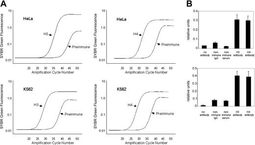 Figure 8. Quantitative ChIP analysis of the hKCC1 core promoter region. (A) Representative amplification plots of preimmune serum and DNA from chromatin immunoprecipitated with anti-H3 and anti-H4 antibodies at the hKCC1 gene core promoter in K562 and HeLa cells. PI indicates preimmune serum. (B) The core promoter region of the hKCC1 gene is hyperacetylated by H3 and H4 in K562 and HeLa cells in chromatin immunoprecipitation assays. See text for details. Error bars indicate SD.