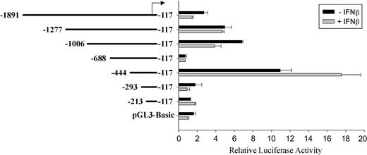 Figure 2. Deletion analysis of the Ink4b promoter region with and without IFNβ. Fragments of the Ink4b promoter region were cloned into the reporter plasmid pGL3-Basic. M1 cells, transiently transfected with these constructs, were cultivated in the presence or absence of IFNβ and analyzed after 24 hours for luciferase activity. Shown are relative values normalized for Renilla luciferase activity. Error bars depict standard error.
