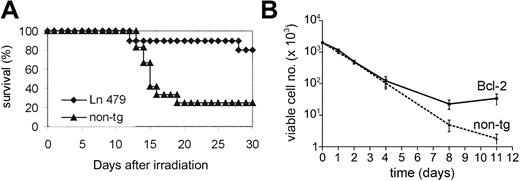 Figure 4. Effects of Bcl-2 overexpression on adult mice and cells. (A) In vivo survival curves of Bcl-2 transgenic mice and nontransgenic littermates. Adult mice of 7 to 22 weeks of age were subjected to a split dose of γ-irradiation of 10.5 Gy. Survival of both Ln 479 (shown) and Ln 2 (not shown) transgenic mice and littermates was checked daily over 30 days. Results are derived from 2 separate experiments for each transgenic line. The number of mice irradiated at 10.5 Gy was n = 10 for Ln 479 tg and n = 12 for wt littermates. For other irradiation doses, 10 to 15 mice were used per group (not shown). (B) Viable cell numbers of BM cells of Ln 479 transgenic (Bcl-2) and a wild-type littermate (non-tg). Bcl-2 overexpression results in higher viable cell numbers in vitro over a period of 11 days. Note that the scale on the y-axis is logarithmic. These graphs show a representative experiment out of a total of 5 experiments (7 Bcl-2 tg and 7 wt littermates ranging 10 to 24 weeks of age). Error bars indicate SEM.