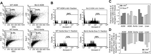 Figure 5. Increased numbers and viability of c-kit+ and Sca-1+ cells in Bcl-2-overexpressing AGM and liver. E11 AGM, aorta, and liver tissues from Bcl-2 transgenic and nontransgenic embryos were dissected and cultured as explants for 3 to 4 days, during which time the embryos were genotyped. Tissues from embryos with a similar genotype were pooled, and single-cell suspensions were stained with antibodies specific for c-kit or Sca-1 and with annexin V and 7AAD. (A) Representative FACS plots for c-kit- and Sca-1-stained cells (top and bottom rows, respectively) within the 7AAD- fraction of wild-type (WT) and Bcl-2-overexpressing AGM and aorta tissues, respectively. Side scatter (SSC) is shown on the x-axis and fluorescent antibody staining on the y-axis. Percentages of c-kit+ and Sca-1+ cells are shown for the gated region (HSCs are found within the nongranular side scatter). (B) Within the c-kit+ and Sca-1+ fractions of AGM and aorta tissues, the percentage of annexin V+ cells was determined (indicating the percentage of cells entering the apoptotic pathway). Representative histogram plots are shown with indicated percentages of annexin V+ cells in the c-kit+ (top row) or Sca-1+ (bottom row) cell fractions, respectively, in the AGM or subdissected aorta. Bcl-2-overexpressing tissues (right panels) contain less annexin V+ cells within the c-kit+ and Sca-1+ fraction. (C) Overview of the fold changes (increases) in percentages of c-kit+ and Sca-1+ cells and (D) fold changes (decreases) in percentages of annexin V+ cells within the c-kit+ and Sca-1+ fractions of Bcl-2 transgenic E11 AGM, aorta, or liver cells as compared with wild-type cells. Percentages were determined as indicated in panels A and B. Results are shown for 3 experiments with Sca-1 and annexin V, 3 experiments with c-kit and annexin V, and 2 experiments with E11 aorta cells. Each bar in the graph represents an independent experiment containing embryos from 1 to 3 litters. From each experiment, several samples (each contained a pool of cells from 1 to 3 tissues) were measured, and the average of these samples is shown. Total number of events analyzed ranges from 8 × 104 to 2 × 105.
