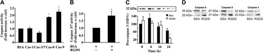 Figure 5. Caspase activity. Effect of RGDS treatment on caspase activity. (A) HUVECs seeded on collagen IV (50 μg/mL) were treated with RGDS (500 μg/mL) for 4 hours at 37°C. Caspase 3/7 enzymatic activity was evaluated by measuring the fluorescence of the Z-DEVD-R110 substrate. Caspase 1, caspase 8, and caspase 9 activity were quantified by the release of AFC from the substrates (DEVD-AFC, AEVD-AFC, and IETD-AFC, respectively). RGDS significantly activated caspase 8 (Cas-8; *P < .01) and caspase 9 (Cas-9; *P < .05), whereas it had no effect on caspase 3/7 (Cas-3/7) and caspase 1 (Cas-1) activation. Results represent the average ± SD of 3 experiments performed in duplicate. (B) Caspase 3/7 enzymatic activity was measured as reported for panel A. RGDS increased caspase 3 activity after 24 hours (P < .05). These experiments were carried out in triplicate. (C) Cells were incubated at 37°C with RGDS for 4, 16, and 24 hours. Caspase 3 activation was followed as function of pro-caspase cleavage by Western blotting, incubating with a polyclonal rabbit antihuman caspase 3 antibody. RGDS reduced the inactive form of caspase 3 (pro-caspase 3 MW 32 kDa) after 24 hours of treatment (*P < .01), whereas at 4 hours and 16 hours it was ineffective. (D) Pro-caspases 8 and 9 (55 kDa and 47 kDa, respectively) were cleaved to the active forms (20 kDa and 37 kDa, respectively) after 4 hours of treatment, whereas the 20-kDa active subunit of caspase 3 was generated after 24 hours of treatment; the increase of the cleaved active forms was always paralleled by a corresponding decrease of the pro-caspase inactive forms. The equal loading was confirmed by Ponceau S solution staining. The figure refers to one representative experiment, whereas the quantification refers to 4 experiments.