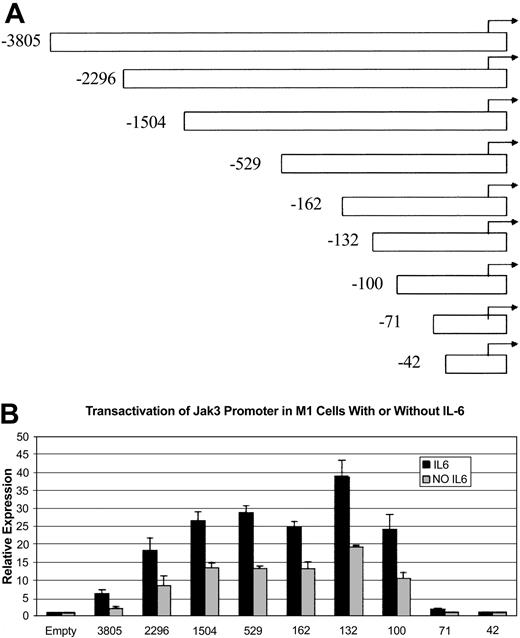 Figure 4. Jak3 promoter/reporter constructs and sequence requirements for the activity of the Jak3 promoter in M1 cells. (A) The coding region of Jak3 was replaced with the coding region of the firefly luciferase gene when a 5.7-kb genomic clone and several 5′ deletion constructs were subcloned into the pGL3-Basic luciferase reporter vector. The 5′ deletion constructs used in the luciferase reporter assays are depicted. Constructs were numbered according to the approximate start of transcription, which is at the 5′-most extent of the Jak3 cDNA described by Gurniak and Berg.31 (B) The pGL3-Basic Jak3pr -3805 construct and several 5′ deletion constructs were transiently transfected into M1 cells that were either unstimulated or stimulated with IL-6. Following a 20-hour incubation period, cells were lysed and analyzed for luciferase activity. Relative expression refers to the fold increase in luciferase activity over vector alone. Values expressed are the average of 3 independent experiments plus or minus one standard deviation.