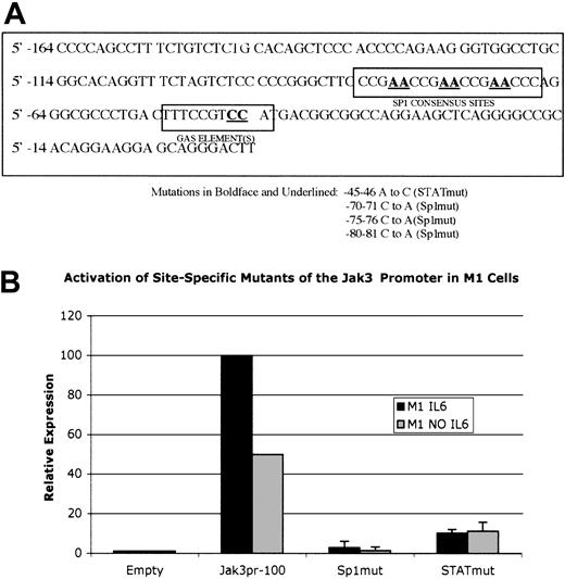 Figure 6. Site-specific mutation of the Sp1 binding sites between positions -67 to -85 of the Jak3 promoter or a 2-base change in the -44 to -53 GAS motif markedly reduces Jak3pr activity in M1 cells. (A) The -100 Jak3pr construct was used as a template to create -100 Sp1 mut, in which 3 consecutive Sp1 consensus sites are destroyed by making a 2-base change in each site. Additionally, -100 Stat mut was created by making a 2-base change to disrupt the -44 to -53 GAS motif. (B) -100 Sp1 mut and -100 Stat mut were transiently transfected into unstimulated M1 cells or M1 cells stimulated with IL-6. Following a 20-hour incubation period, cells were lysed and analyzed for luciferase activity. Relative expression refers to the fold increase in luciferase activity over vector alone. Values expressed are the average of 3 independent experiments plus or minus one standard deviation. Values for the -100 wild-type construct were normalized to 100 for M1 cells stimulated with IL-6 and normalized to 50 for unstimulated M1 cells.