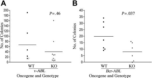 Figure 1. Partially impaired transformation of B-cell progenitors from Pik3r1 null fetal liver by BCR-ABL but not v-ABL. Wild-type (WT) and Pik3r1 null (KO) fetal liver cells were infected with Ab-MuLV or pMIG-p190-BCR-ABL. Transformation by v-ABL (A) and BCR-ABL (B) was measured by counting colonies formed in soft agar or methylcellulose. Open symbols are from a single transformation assay done in cells from a mixed genetic background (129SvEv × C57BL6) at embryonic day 16.5, whereas the closed symbols were from 3 independent assays done in cells from a Balb/c background at E18.5. Horizontal bars depict averages: v-ABL WT, 67; v-ABL KO, 40; BCR-ABL WT, 20; and BCR-ABL KO, 8. Data analyzed by paired t test revealed no difference between v-ABL WT and KO (P = .46) but showed a significant decrease in transformation of KO by p190-BCR-ABL (P = .037).