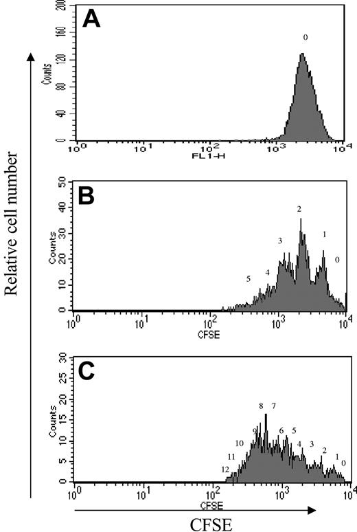 Figure 2. CFSE-labeled cell division history of CD34+ CD90+ after 9 days of culture. Cell division history of CD34+CD90+ exposed to 5azaD and TSA with cytokine cocktail (described in “Materials and methods”) after 5 and 9 days of culture labeled with CFSE. Each panel shows a representative flow cytometry profile for CFSE fluorescence intensity as a function of cell number for each day studied. (A) Uncultured marrow CD34+ cells. (B) CD34+CD90+ cells after 5 days of culture treated with 5azaD and TSA. (C) CD34+CD90+ cells after 9 days of culture treated with 5azaD and TSA. The number above each peak indicates the number of cell divisions undergone by cells within each peak of CFSE fluorescence.