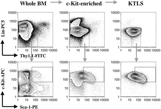 Figure 1. Purification of hematopoietic stem cells. Bone marrow cells from the CD45.1 mice were first depleted of red blood cells. Red blood cell-lysed bone marrow cells were then enriched for c-Kit+ cells by positive selection using magnetic beads. c-Kit+ bone marrow cells were subsequently stained with a cocktail of monoclonal antibodies, including anti-c-Kit, anti-Thy1.1, anti-Sca-1, and anti-lineage cell markers (CD3, CD4, CD5, CD8a, CD11b, B220, Gr-1, and TER-119). The stained samples were finally sorted for c-Kit+Thy1.1lowLin-/lowSca-1+ (KTLS) cells (purified hematopoietic stem cells) using a FACS machine. The figure shows the procedures and quality of samples for each step. BM indicates bone marrow; KTLS, c-Kit+Thy1.1lowLin-/lowSca-1+ hematopoietic stem cells; Lin, lineage; APC, antigen-presenting cell; and CD45.1 mice, C57BL/Ka, CD45.1, Thy1.1 mice.