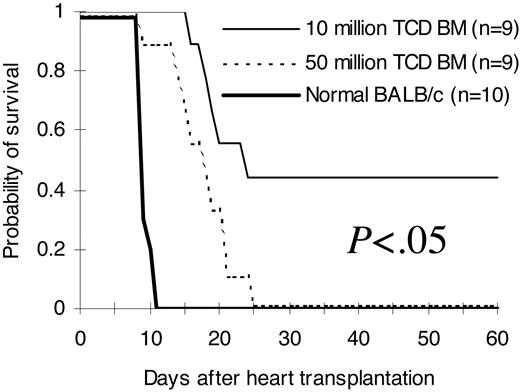 Figure 5. Ability to reject third-party hearts. Hearts from third-party C3H/HeJ newborn mice (H2k) were transplanted into pouches created in the pinnae of BALB/c (H2d) recipients of C57BL/6 (H2b) T-cell-depleted bone marrow 14 days after bone marrow transplantation. Graft survival was assessed daily by evaluation of the presence or absence of heart contractions. The hearts were followed for 60 days after heart transplantation. The comparisons were among all different groups. The results were pooled from 2 independent experiments. TCD BM indicates T-cell-depleted bone marrow.