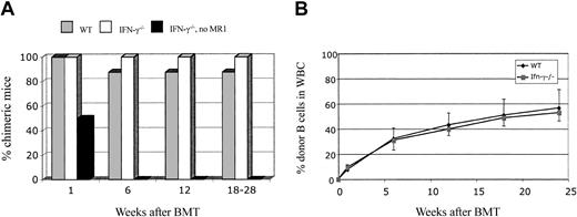 Figure 3. CD8+ T-cell-depleted IFN-γ-/- recipients achieve high levels of multilineage donor chimerism following treatment with 3 Gy TBI, anti-CD154 mAb, and BMT. All animals received 3 Gy TBI and 20 × 106 Balb/c IFN-γ-/- BMCs. (A) Seven of 8 CD8-depleted WT and 8 of 8 IFN-γ-/- mice treated with anti-CD154 developed lasting chimerism for more than 20 weeks. None of the CD8-depleted IFN-γ-/- mice receiving BM transplants without MR1 developed lasting chimerism. (B) Mean percentages plus standard deviation of donor-derived B cells in chimeric WT and IFN-γ-/- recipients at various times after BMT as measured by flow cytometry. Similar results were observed in the CD4, CD8, monocyte, and granulocyte populations (data not shown).