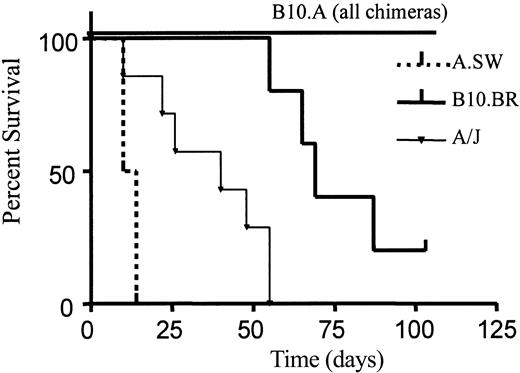 Figure 6. Survival of donor and various third-party primary skin grafts on mice receiving anti-CD8, 3 Gy TBI, BM transplants, and anti-CD154. Recipient mice were grafted 1 day after BMT with both donor and third-party skin grafts. All chimeric mice accepted donor skin grafts for more than 100 days (B10.A). Mice that received fully MHC- and minor antigen-mismatched grafts (A.SW) rejected these grafts within 20 days (n = 3). Chimeras that received grafts that shared donor MHC and were mismatched for minor histocompatibility antigens (A/J) were all rejected by day 55 (n = 7). MHC class I-mismatched grafts (B10.BR) sharing donor MHC class II were rejected by 4 of 5 chimeras within 80 days.