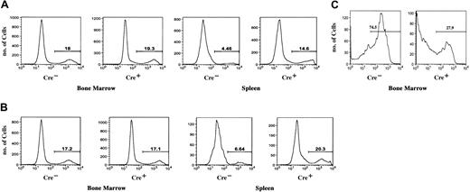 Figure 5. Proliferation and apoptosis in Mx1-Cre, Nf1 flox/flox and Cre- mice. (A) BrdU incorporation in vivo by Cre+ and Cre- bone marrow cells and splenocytes. Increased proliferation is seen in the spleens of Cre+ mice (14.6% versus 4.5% labeled cells). (B) BrdU labeling of Mac1+ cells from Cre+ and Cre- mice. A higher percentage of splenic Mac1+ cells were labeled (20% versus 6.6%). (C) Annexin V staining of bone marrow mononuclear cells from Cre- and Cre+ mice showing greatly reduced apoptosis of Cre+ cells after 24 hours in culture without exogenous growth factors (27.9% versus 74.5% in the controls). The histograms present representative data from an analysis of 3 mice of each genotype. The numbers shown in each panel indicate the percentage of positive cells.